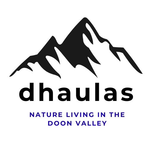 dhaulas